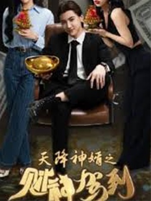 天降神婿之財神駕到