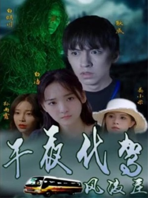午夜代駕風波莊