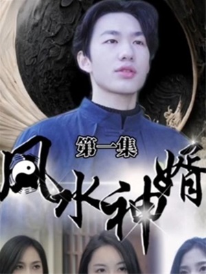 風水神婿